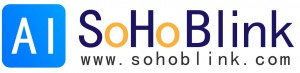 SoHoBlink